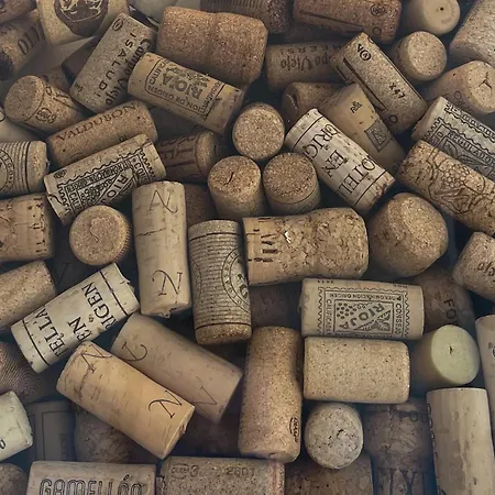 Frontline Duna טורוקס